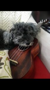 Turtleford K. O'Brien